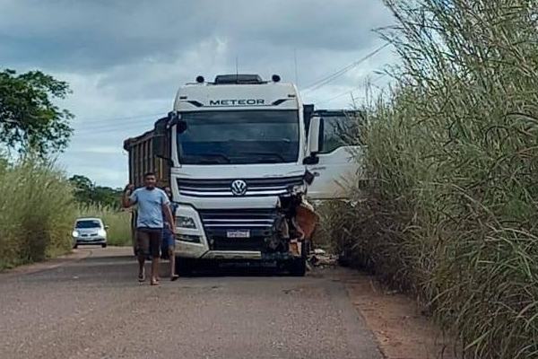 Empres Rio Morre Ap S Uma Colis O Entre Caminhonete E Carreta Bitrem No