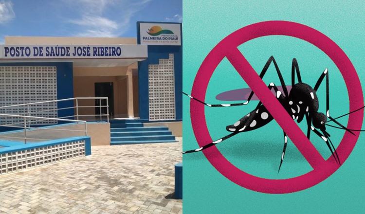 Palmeira do Piauí está fora da lista de classificação de risco da Dengue
