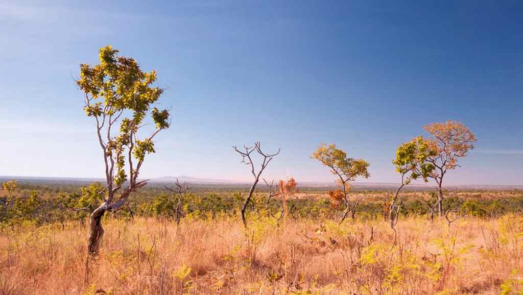 Interpi arrecada mais de 1 milhão de hectares de terras devolutas