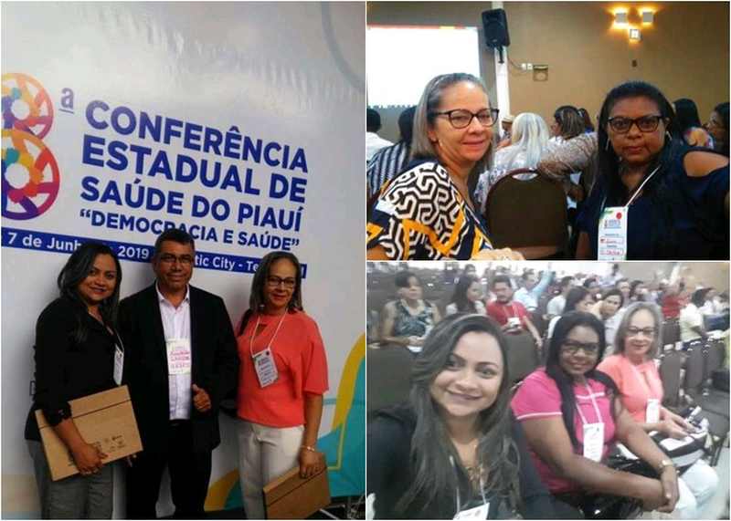 Profissionais da Saúde de Cristino Castro participam 8° Conferência Estadual de Saúde
