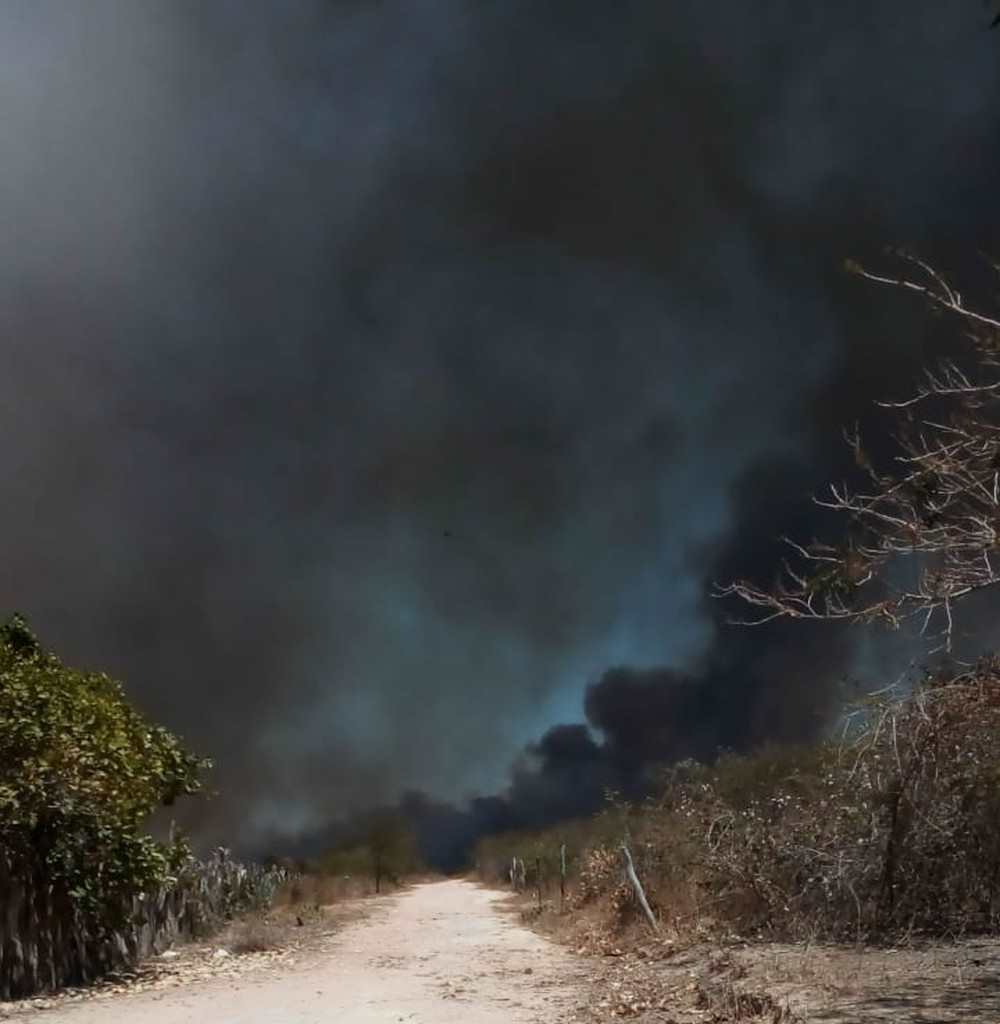 Incêndio de grande proporção em fazenda de biodiesel no Sul do Piauí