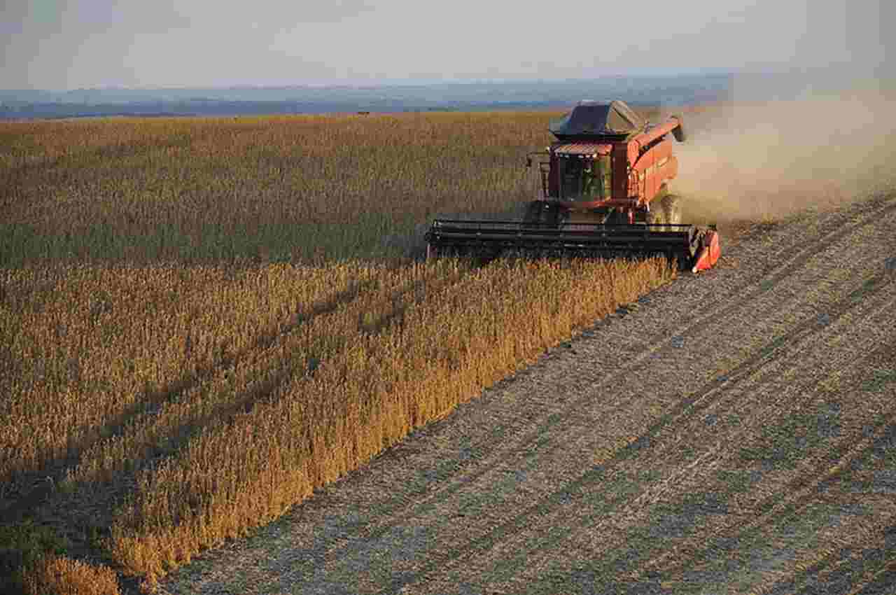 Ministério inclui Piauí em Zona Agrícola de Risco Climático para cultivo da Soja