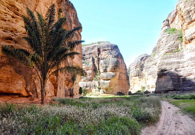 Revista Forbes elege o Brasil como o melhor destino para o ecoturismo