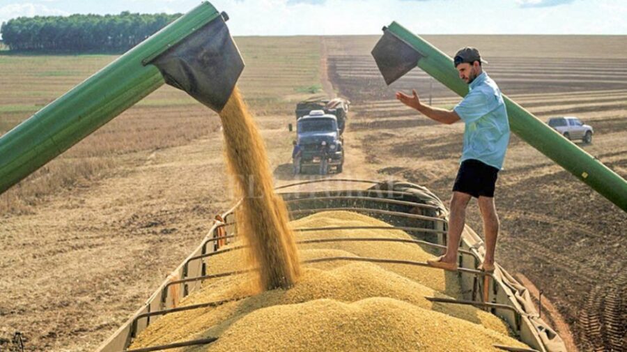 Agropecuária e fabricação de alimentos estão autorizados a voltar a partir da segunda-feira (13) no Piauí