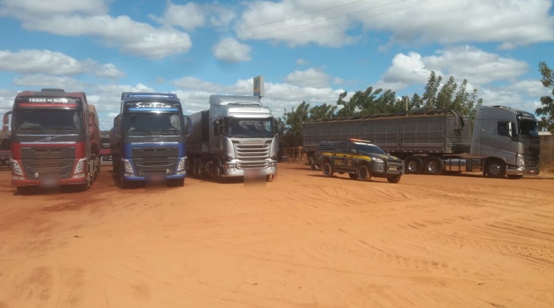 PRF apreende grande quantidade de madeira ilegal sendo transportada na BR 135