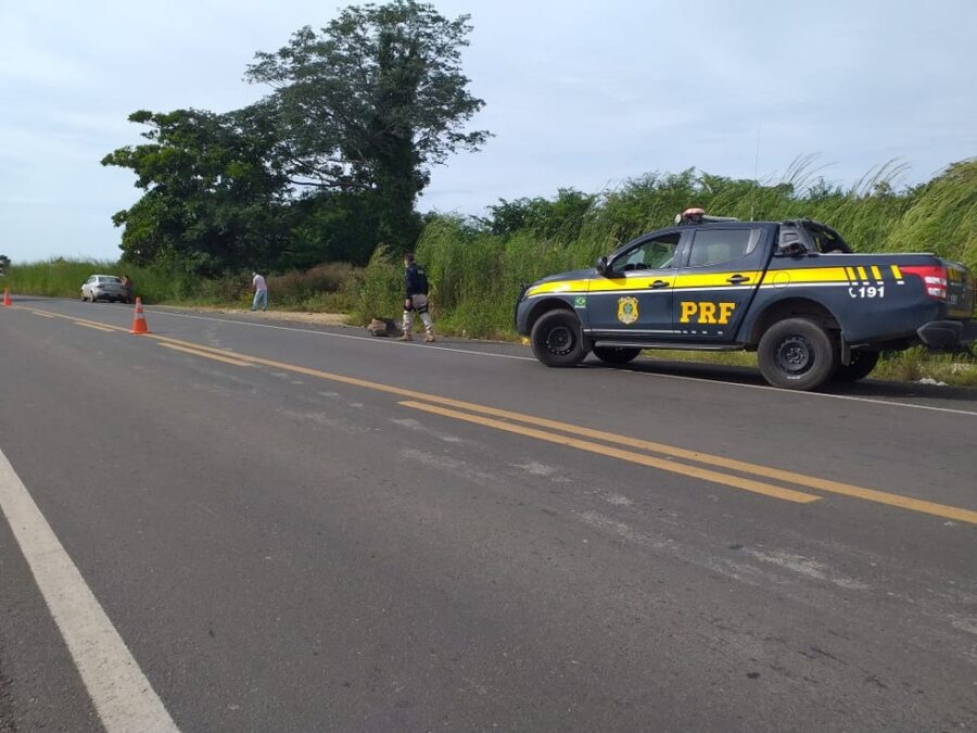 Rodovias do Piauí não registram mortes ou acidentes graves, aponta PRF