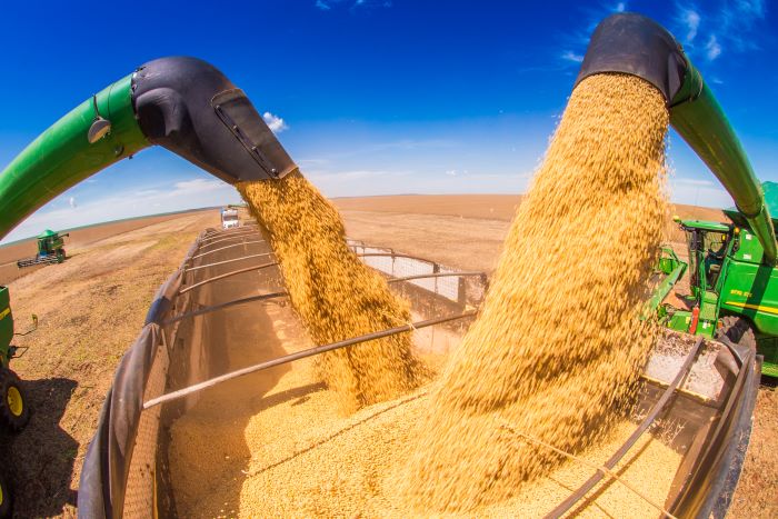 Exportações do Piauí chegam a mais de R$ 1 bilhão no mês de setembro