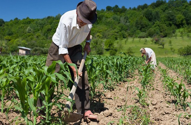Governo do Piauí lança programas e anuncia recursos de quase R$ 100 milhões para agricultura familiar nesta quinta (25)