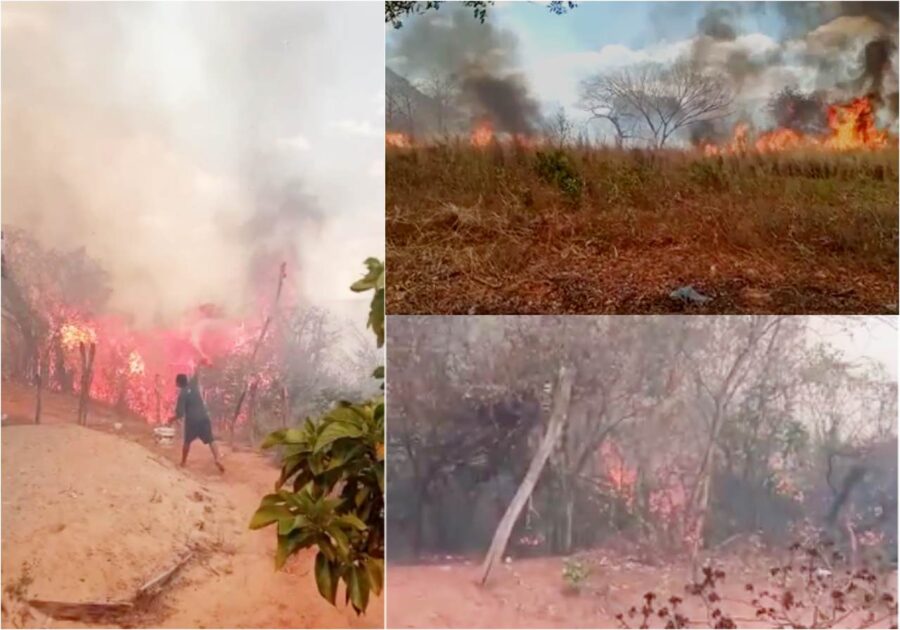 Incêndio em Currais e Bom Jesus deixa moradores desesperados, população pede socorro