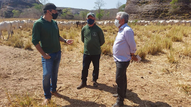 Pecuária ganha espaço no Sul do Piauí e projeta desenvolvimento