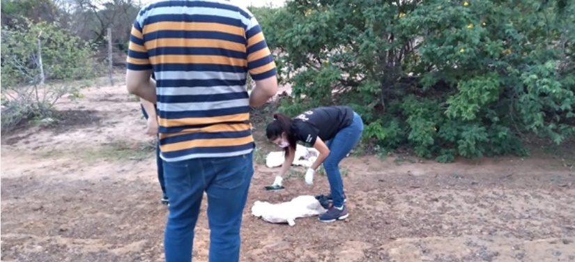 URGENTE: Corpo de recém-nascido é encontrado dentro de lixão no Sul do Piauí