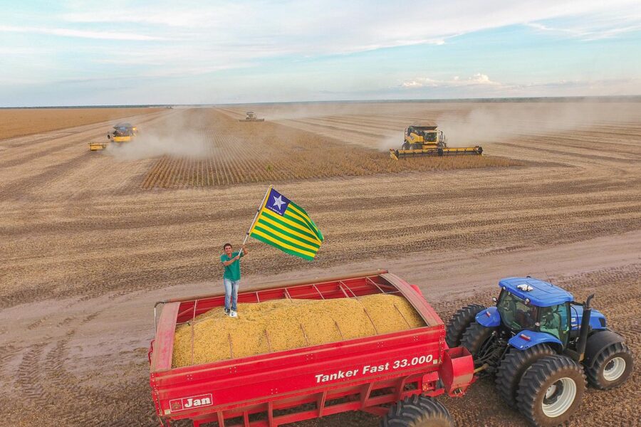 Piauí tem dois municípios entre os 100 maiores produtores agrícolas do Brasil em 2023