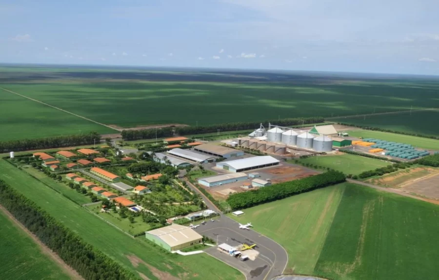 Piauí vai sediar pela primeira vez abertura da colheita nacional de soja em 2022