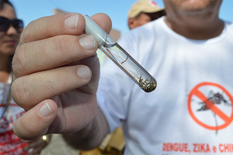 Piauí enfrenta nova epidemia de dengue e Sesapi faz alerta para municípios