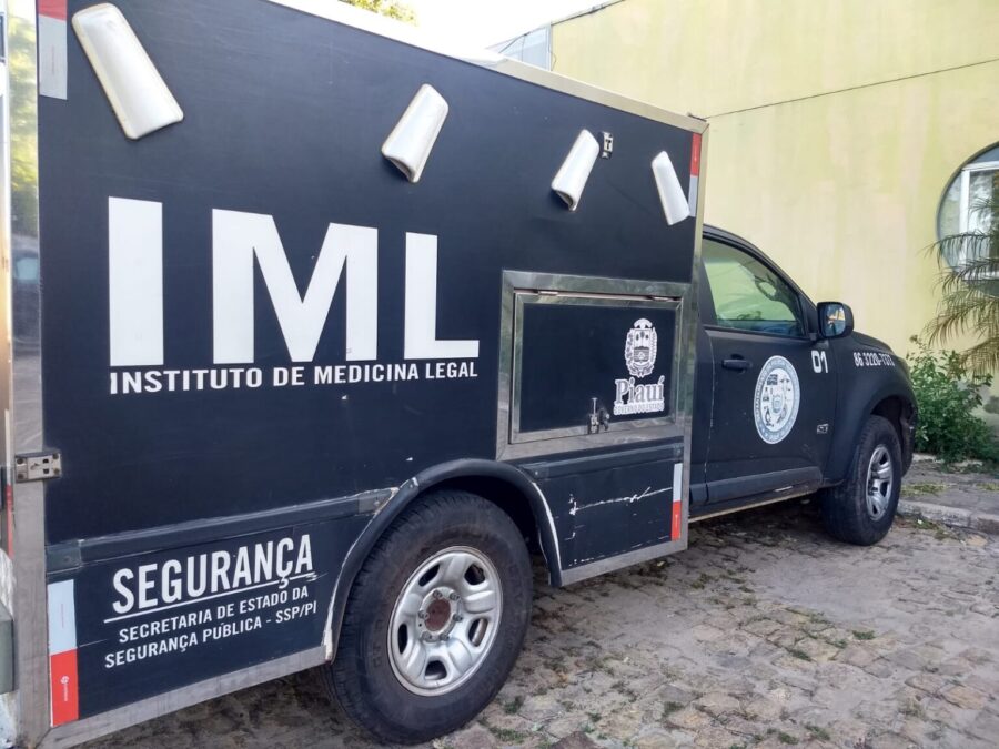 Homem é preso no Sul do PI suspeito de feminicídio contra a companheira