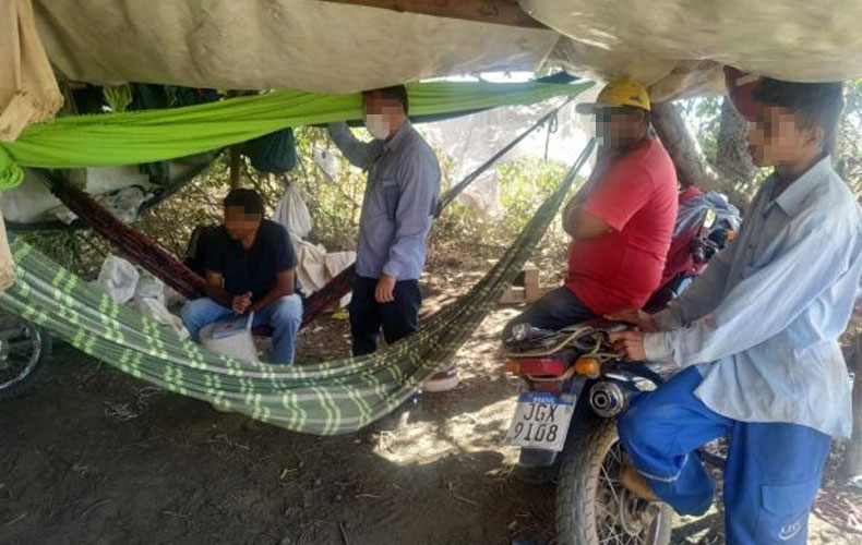 Trabalhadores em situação análoga á escravidão são resgatados no Sul do Piauí