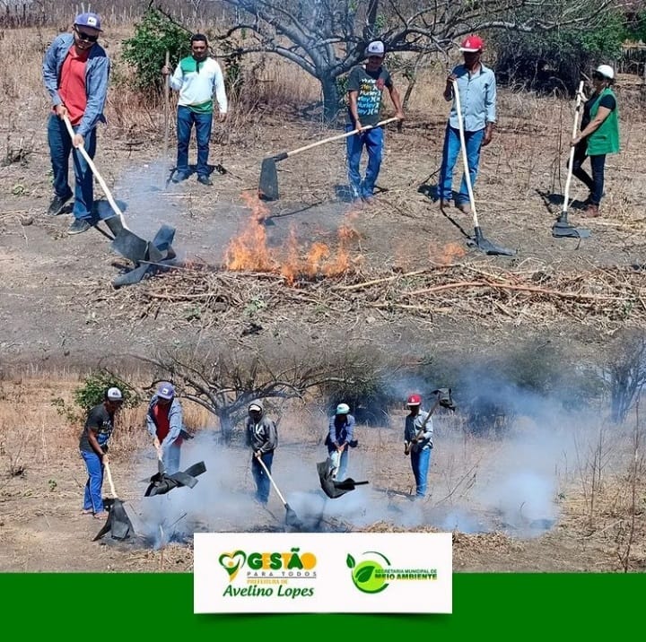 Prefeitura de Avelino Lopes promove curso de Prevenção e Combate a Incêndios