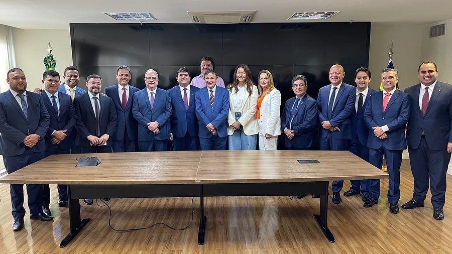 Wellington Dias e deputados estaduais discutem atualização dos dados do CadÚnico no Piauí