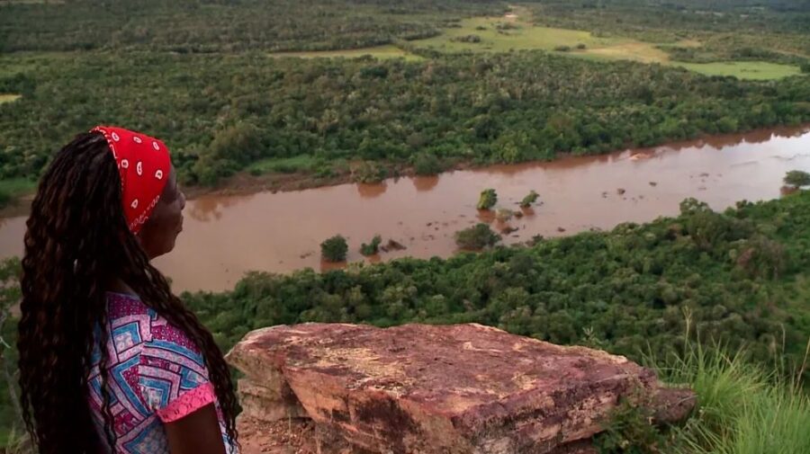 Empresas são multadas em R$ 2,3 milhões por desmatamento ilegal em Gilbués e Baixa Grande do Ribeiro