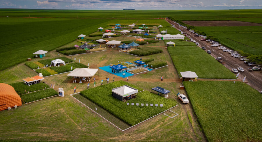 Fitoagro realiza 6º Encontro Técnico na Serra do Quilombo, Sul do Piauí