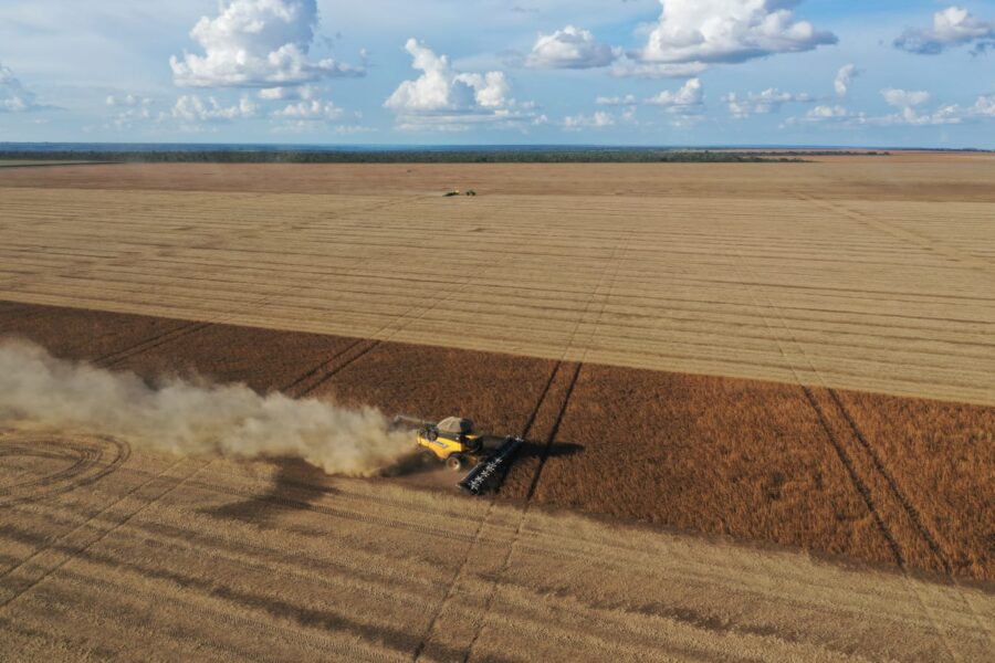 Em 2023, o Piauí terá o sétimo ano seguido de recorde na produção de grãos