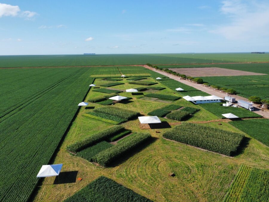 Agro | 6º Encontro Técnico Fitoagro acontece neste sábado (25) na Serra do Quilombo