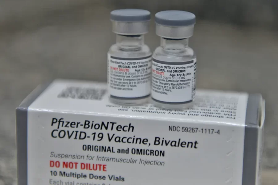 Piauí recebe lote com mais 83 mil doses de vacina bivalente contra Covid-19; veja como receber