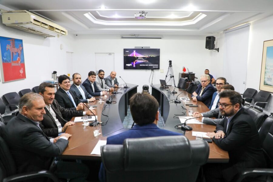 Governador e Grupo Tomazini discutem instalação de agroindústria em Uruçuí