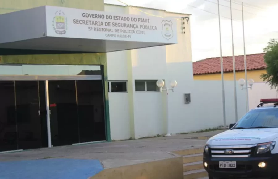 Mulher vai à delegacia denunciar perturbação de sossego e acaba presa no Piauí