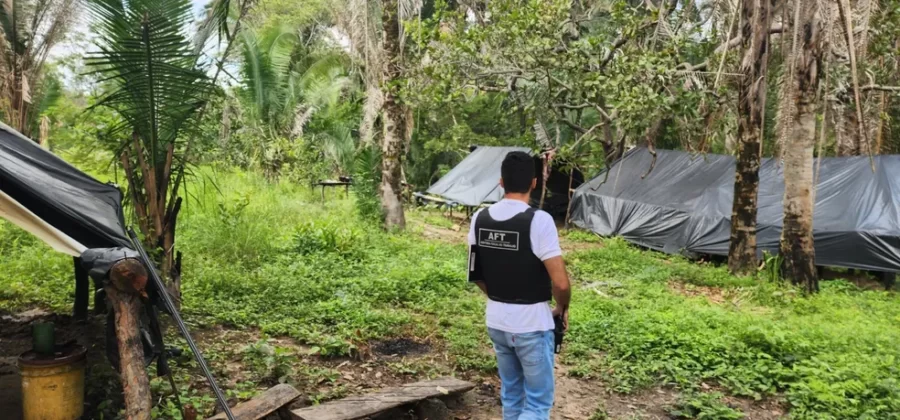 Piauí lidera resgate de trabalhadores no Nordeste e lança Plano de Erradicação e Prevenção ao Trabalho Escravo