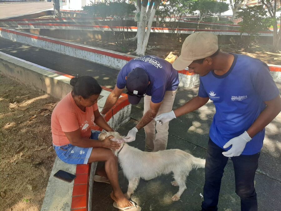 Foto: (SMS - Palmeira do Piauí)