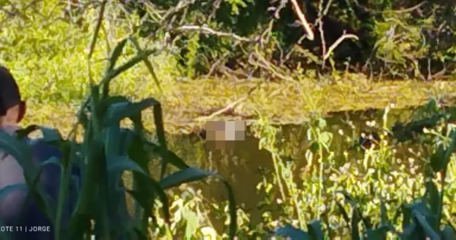 Corpo de idoso é encontrado boiando em açude em Avelino Lopes, Sul do Piauí