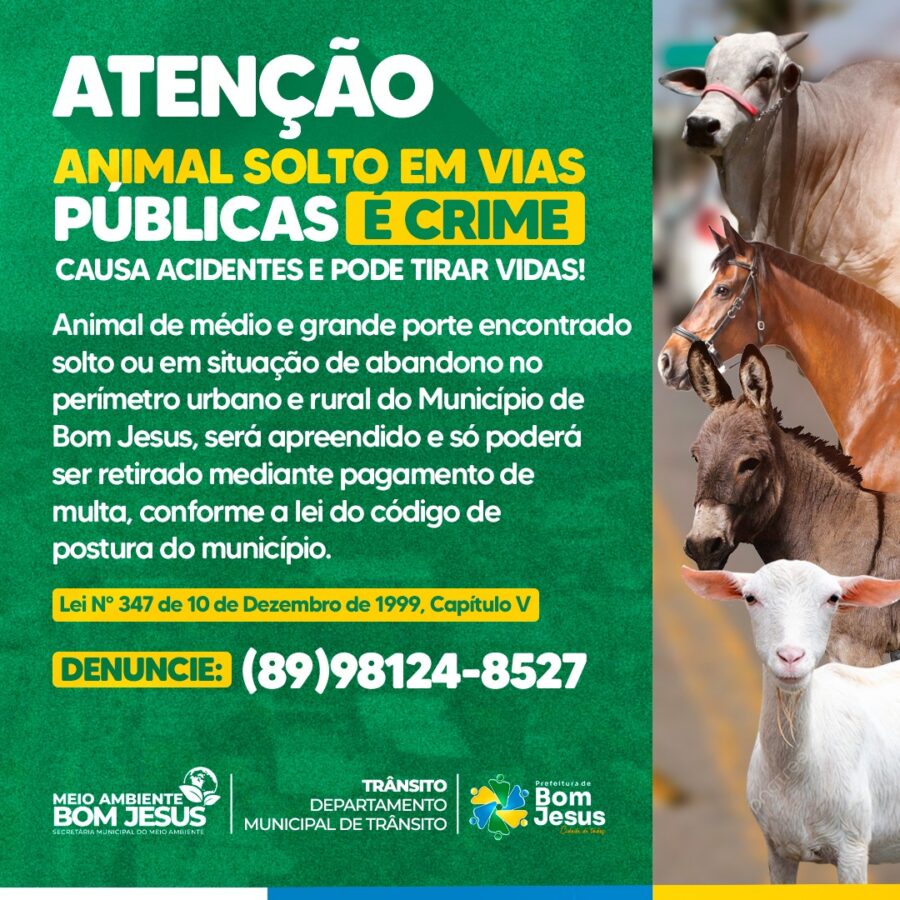 Prefeitura de Bom Jesus alerta que animais soltos serão apreendidos e donos multados
