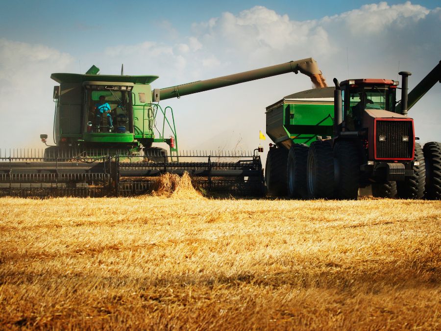 Piauí é o 2º em crescimento da produção de soja do Matopiba  e 12º no ranking da produção de grãos do Brasil