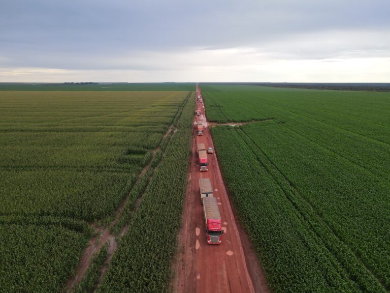 Publicado decreto que prevê desenvolvimento agropecuário e agroindustrial do Matopiba