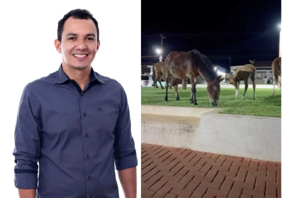 (Vídeo): Prefeito de Avelino Lopes se revolta com situação e chama criadores de "IMORAIS e IRRESPONSÁVEIS