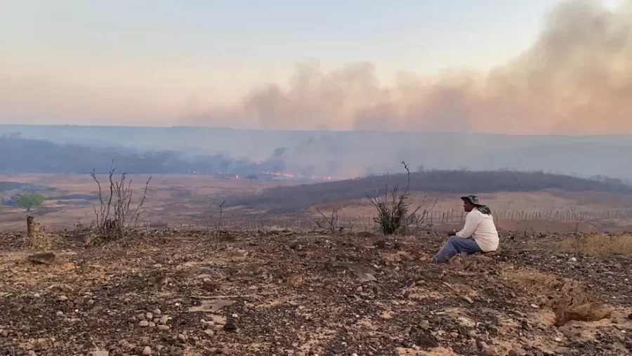 38 cidades do Sul do Piauí estão com alerta para baixa umidade; veja lista