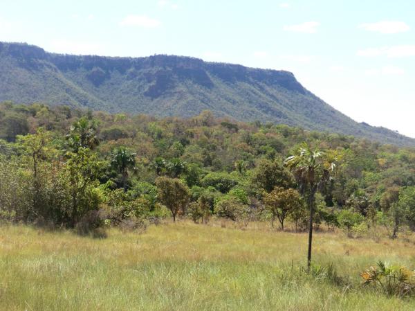 Eleições 2024 | Conheça os pré-candidatos a prefeito dos municípios da Chapada das Mangabeiras