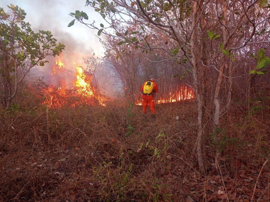 (Vídeo): Incêndio de grandes proporções em Canto do Buriti é controlado após ação integrada
