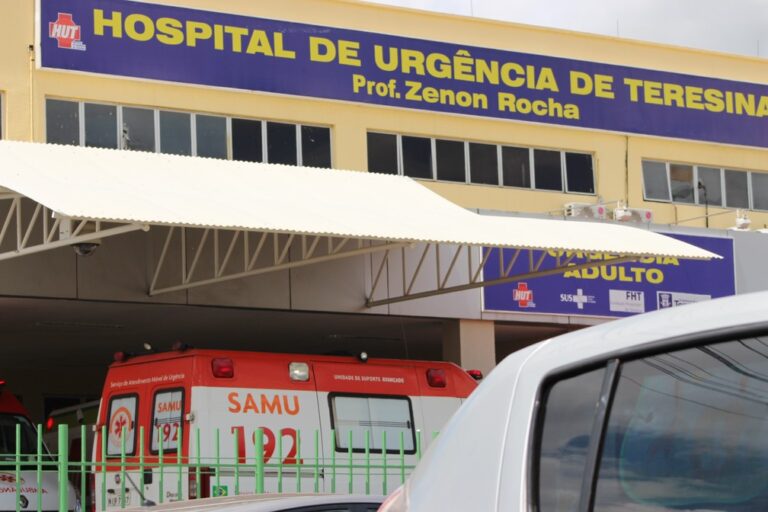 Bebê mordido por cachorro em Floriano realizará cirurgia corretiva na face, diz técnica