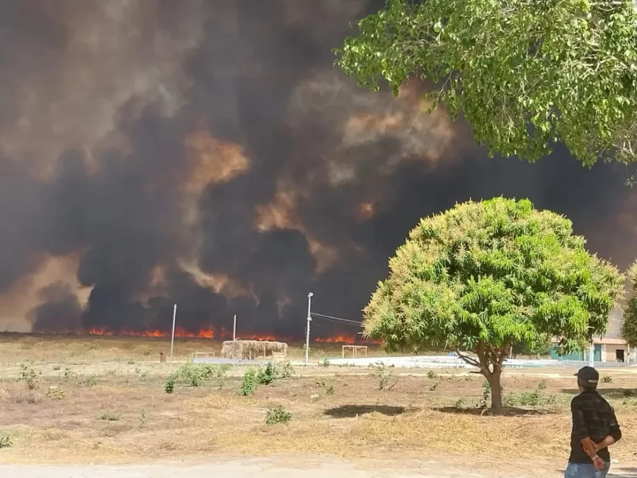Escola fica cercada por fogo durante incêndio que ameaça Parque da Serra das Confusões, maior área de preservação da caatinga