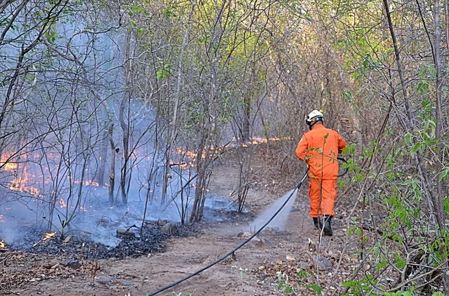 Governo do Piauí lança canal de denúncias para queimadas ilegais