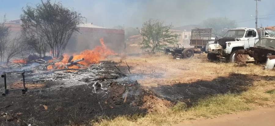 Piauí registra 3º maior número de incêndios florestais do Brasil entre domingo(13) e segunda (14), diz Inpe