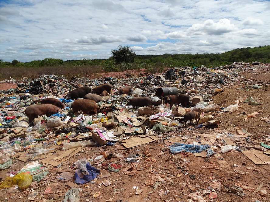 MPPI oferece denúncias contra prefeitos que mantêm indevidamente “lixões a céu aberto” em municípios piauienses