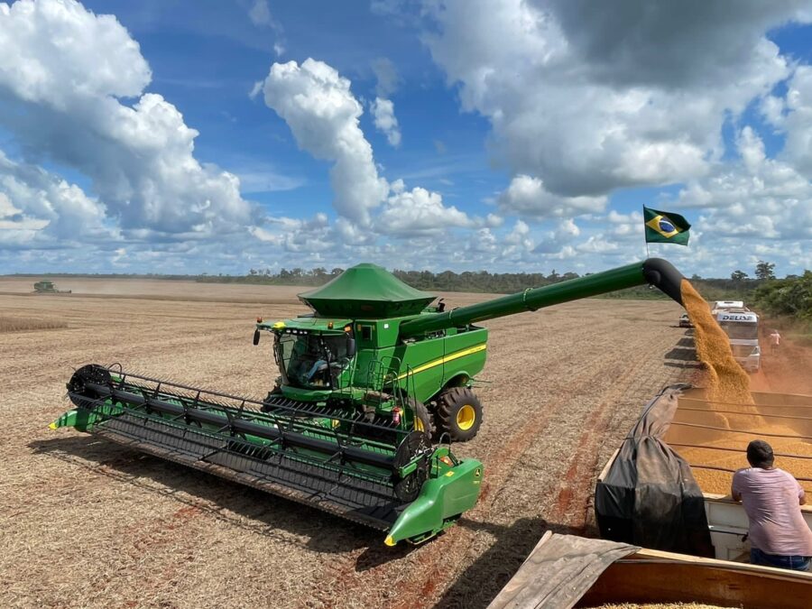 Soja do Piauí ultrapassa os R$ 8 bilhões em valor de produção agrícola