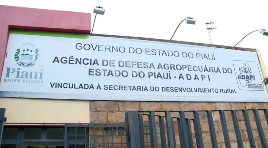 Adapi publica nova portaria sobre emissão de GTA e regulamentação do trânsito animal no Piauí