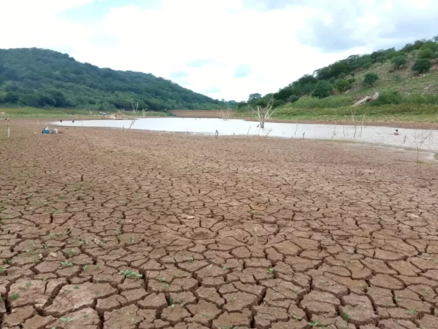Ministério reconhece situação de emergência em 126 cidades piauienses afetadas pela seca