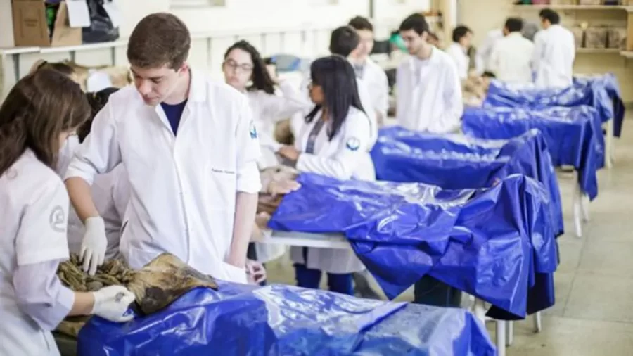 Piauí ganhará três novos cursos de medicina em faculdades privadas; veja lista das 96 cidades aptas