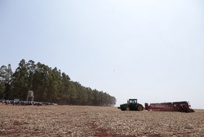 Após sucessivas safras recordes, mudanças climáticas podem afetar produção no Piauí