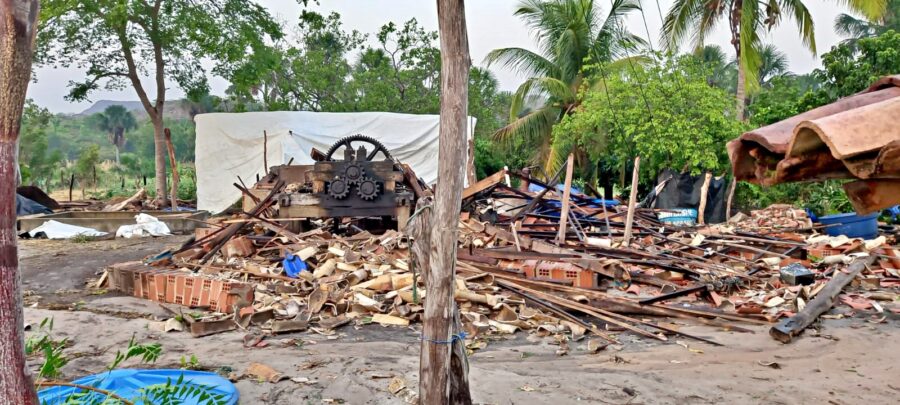 Temporal deixa rastro de destruição no zona rural de Palmeira do Piauí; "prejuízo ambiental incalculável"
